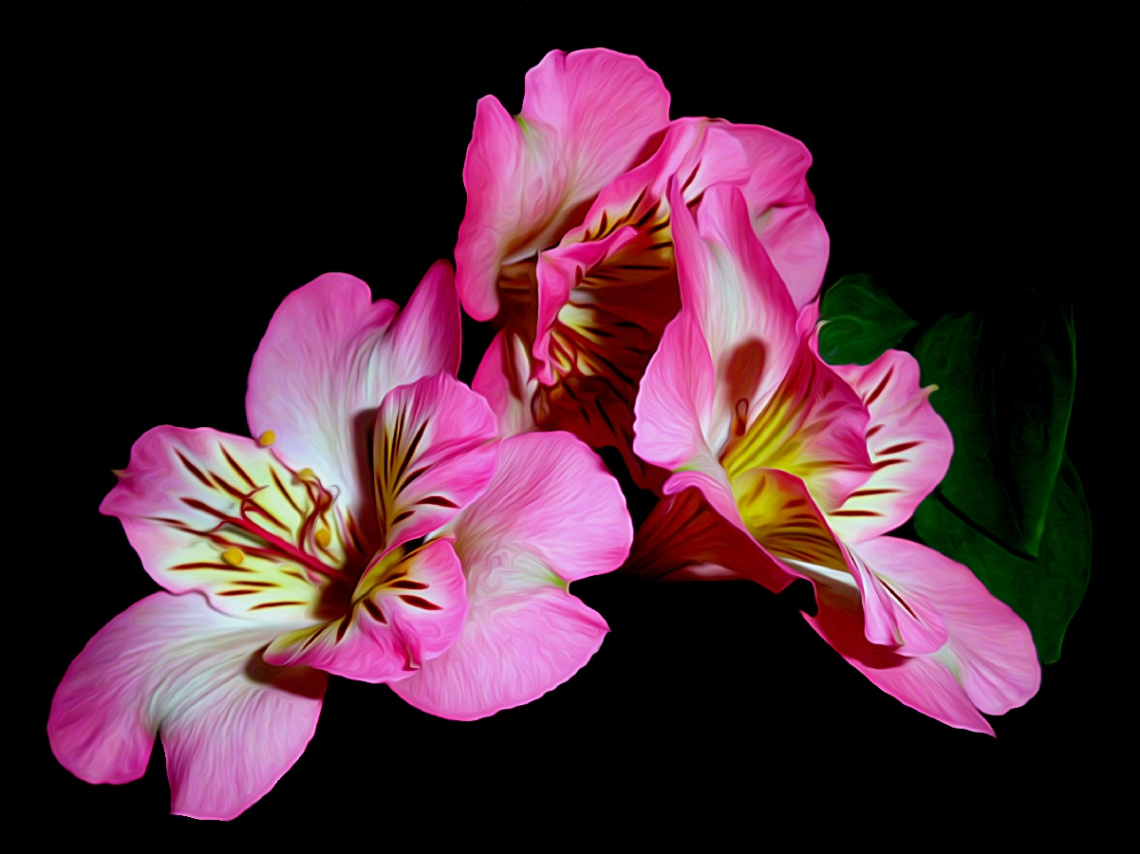 BLÜTEN