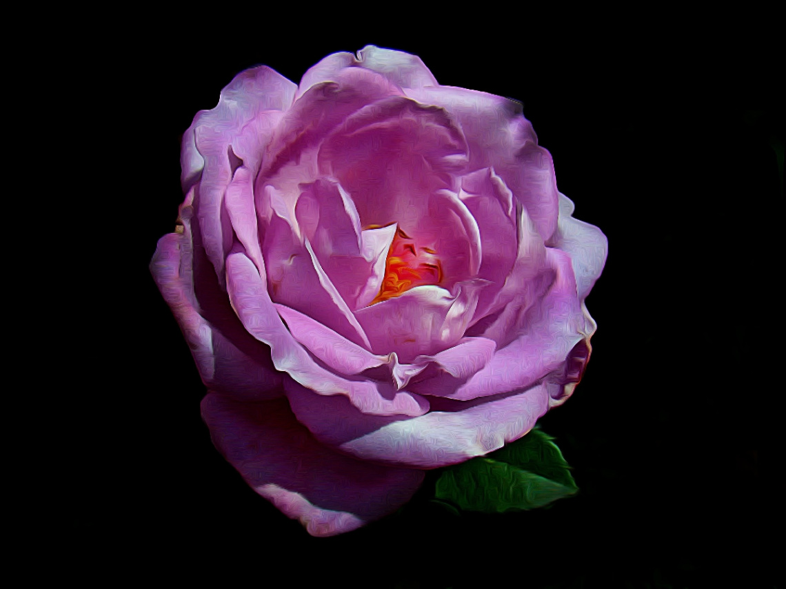 BLÜTE