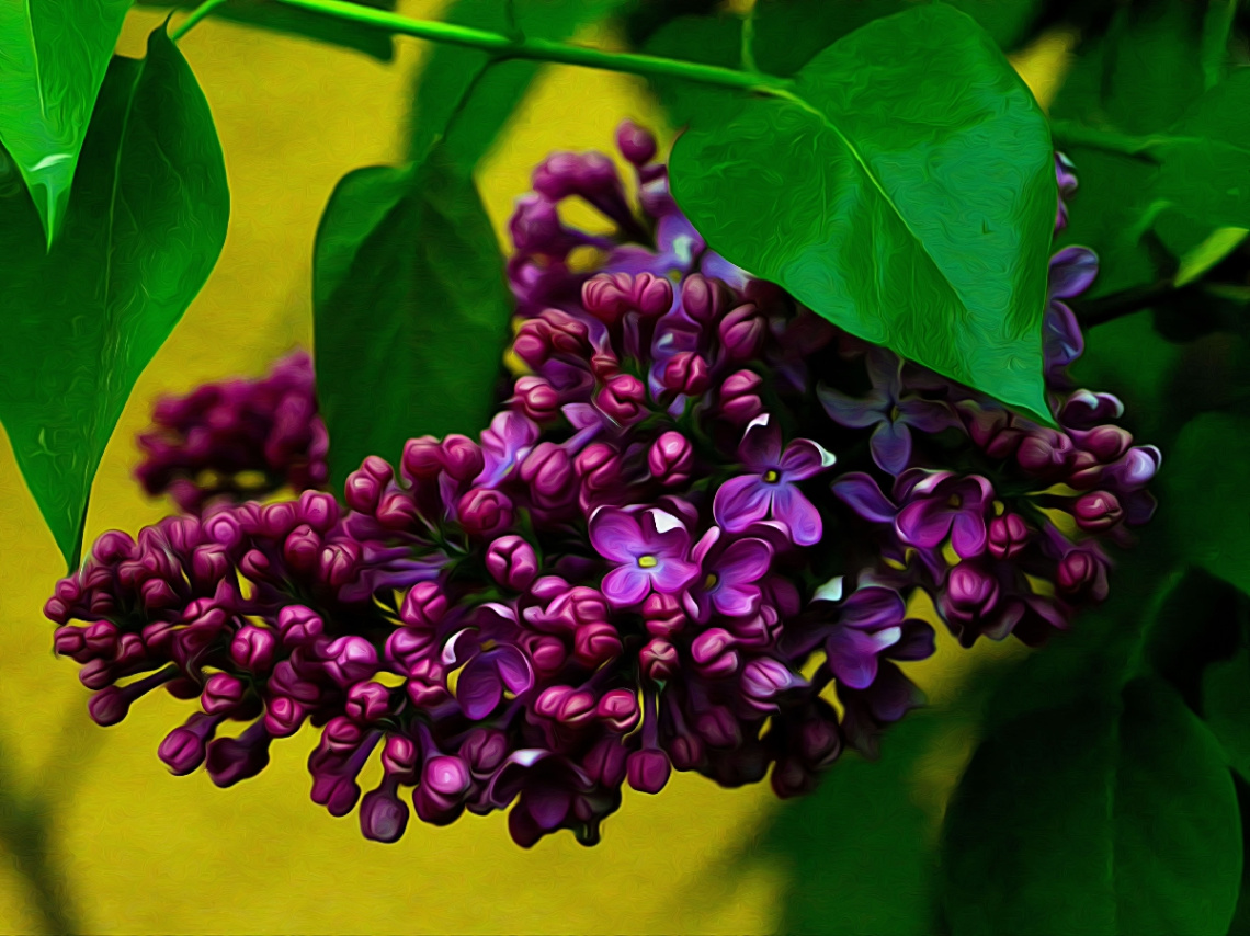 BLÜTEN