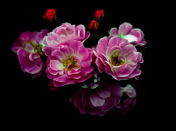 BLÜTEN