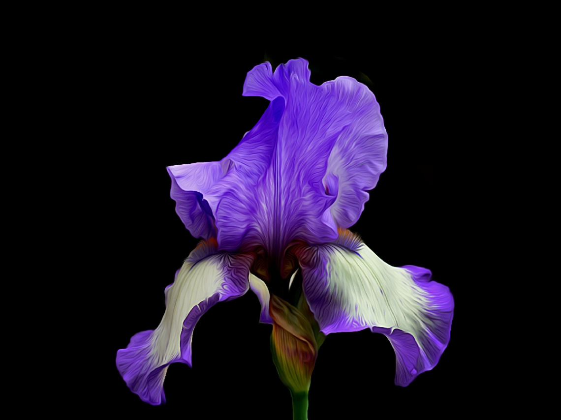 BLÜTE