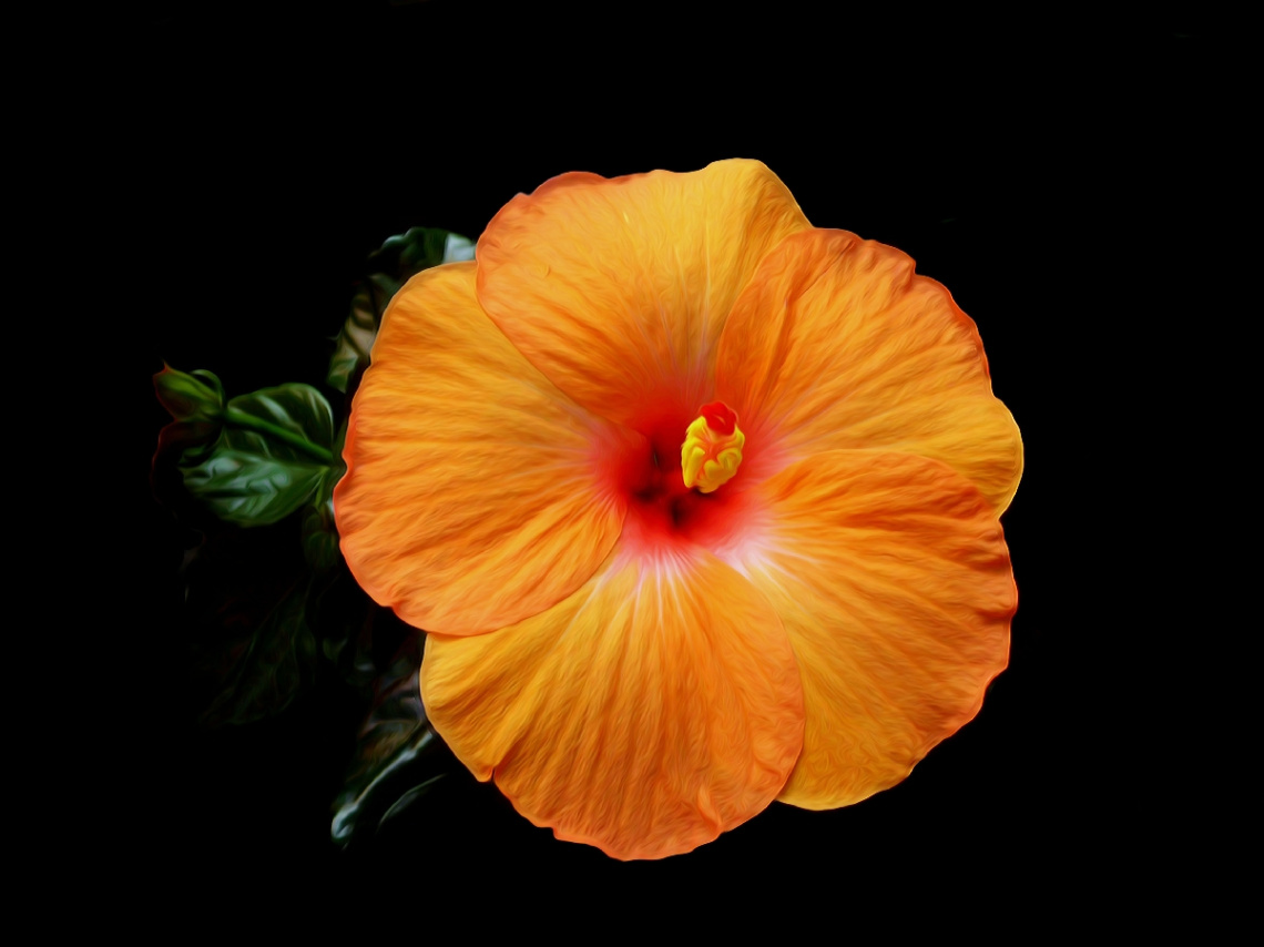 BLÜTE