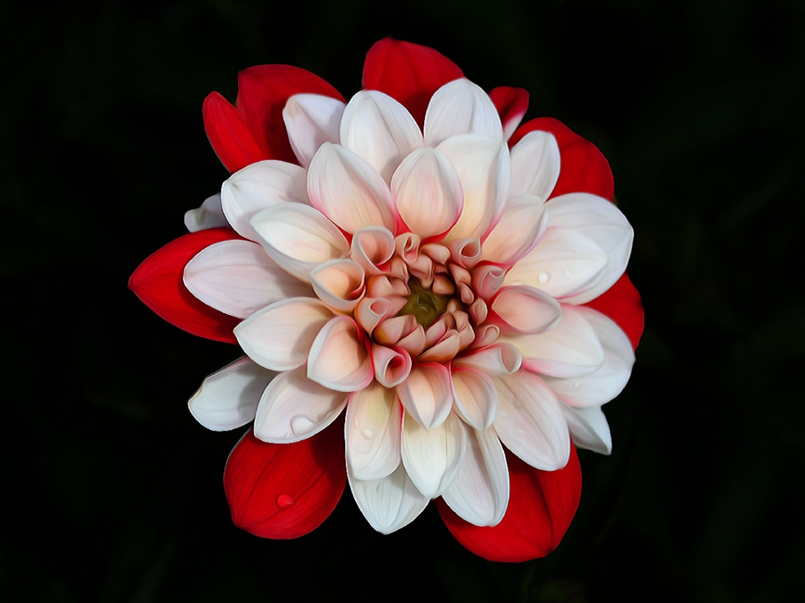 BLÜTE