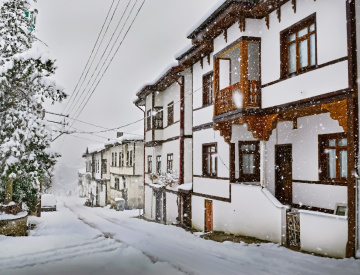 Taraklı