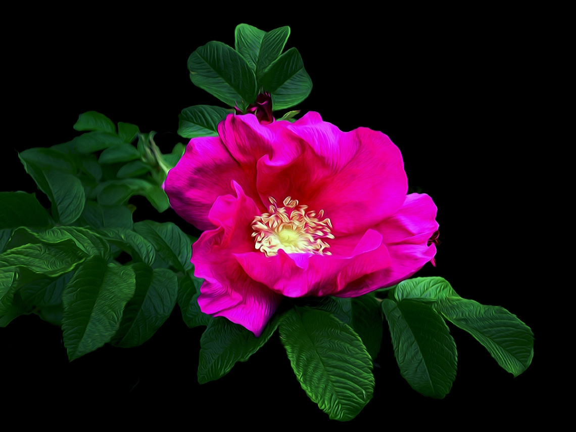 BLÜTE
