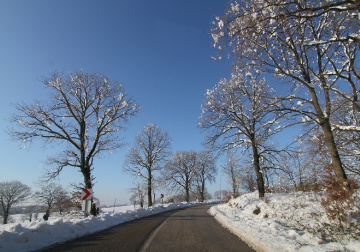Kış