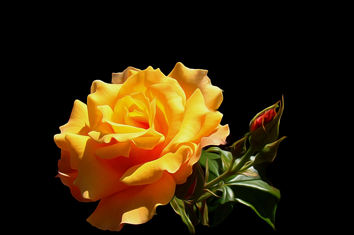 BLÜTE