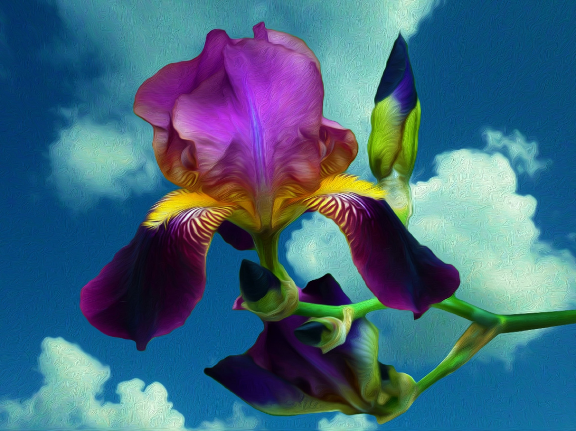 BLÜTEN
