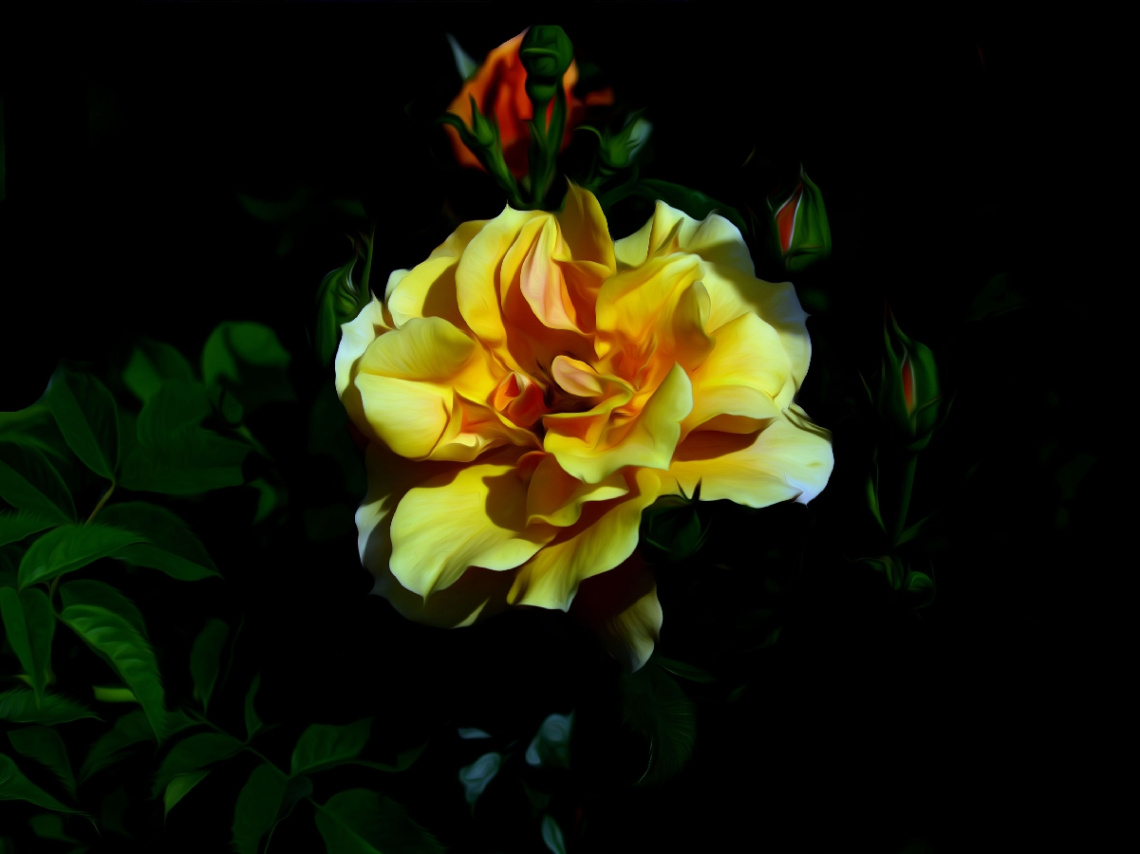 BLÜTE
