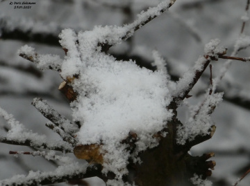 Yesterday - a little bit of snow 