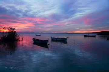 Gölyazı