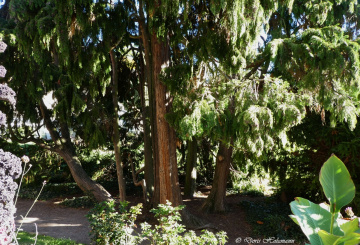 Botanical Garden, Karlsruhe / Germany