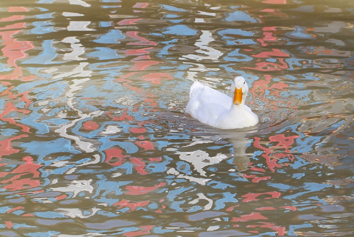 Yansımalar (reflections)