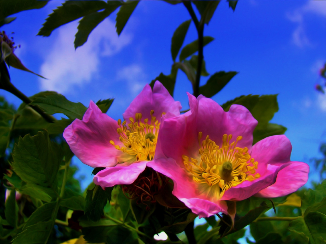 BLÜTEN