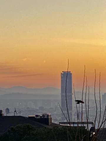 Şehir