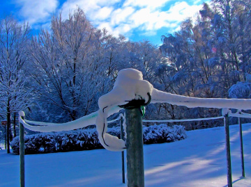 SCHNEE