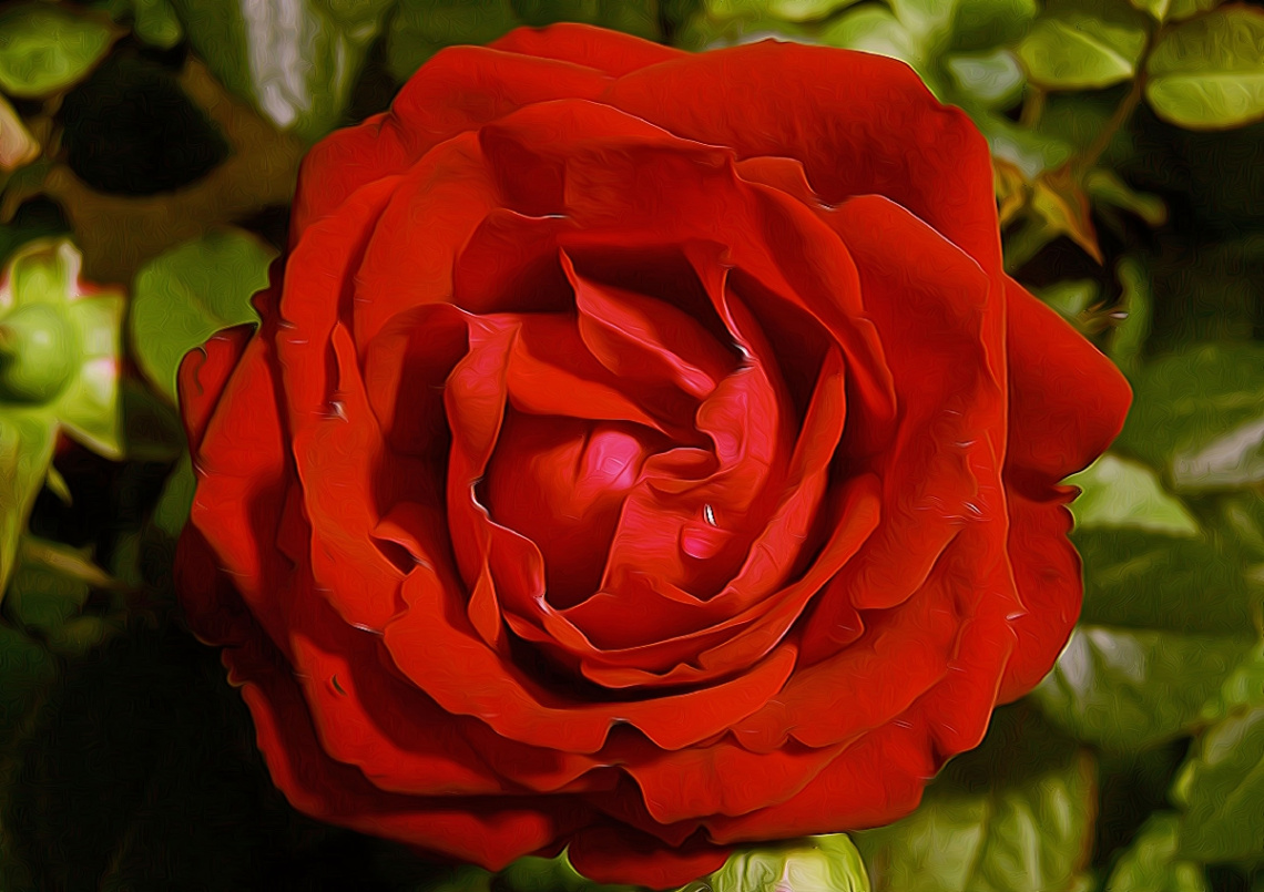 BLÜTE