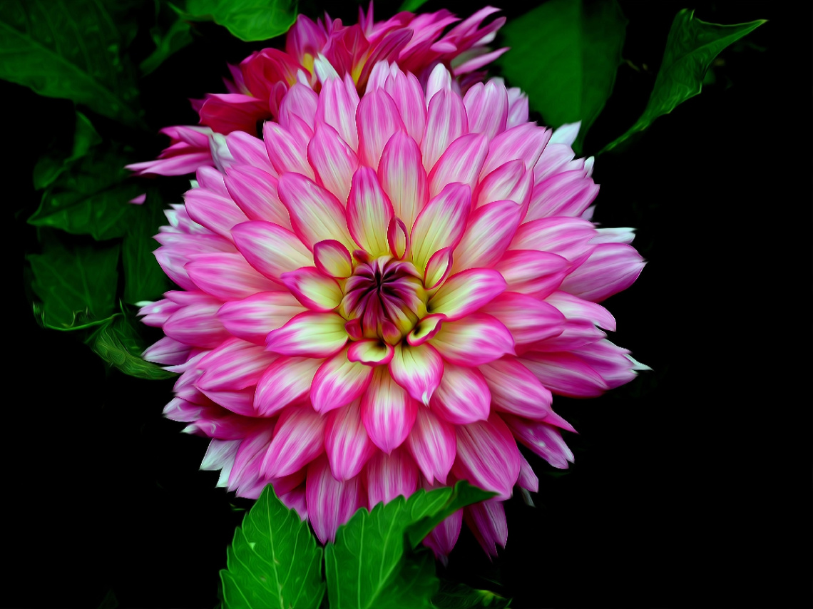 BLÜTE