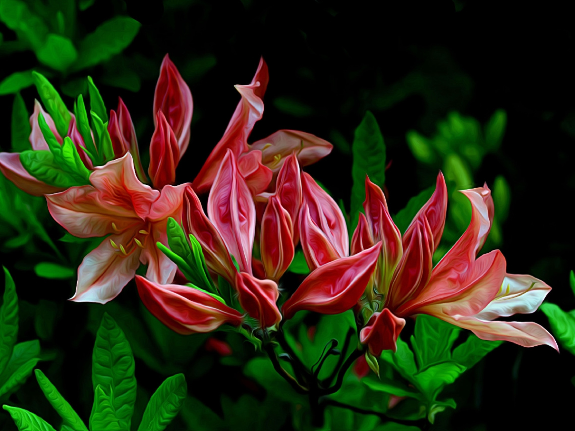 BLÜTEN