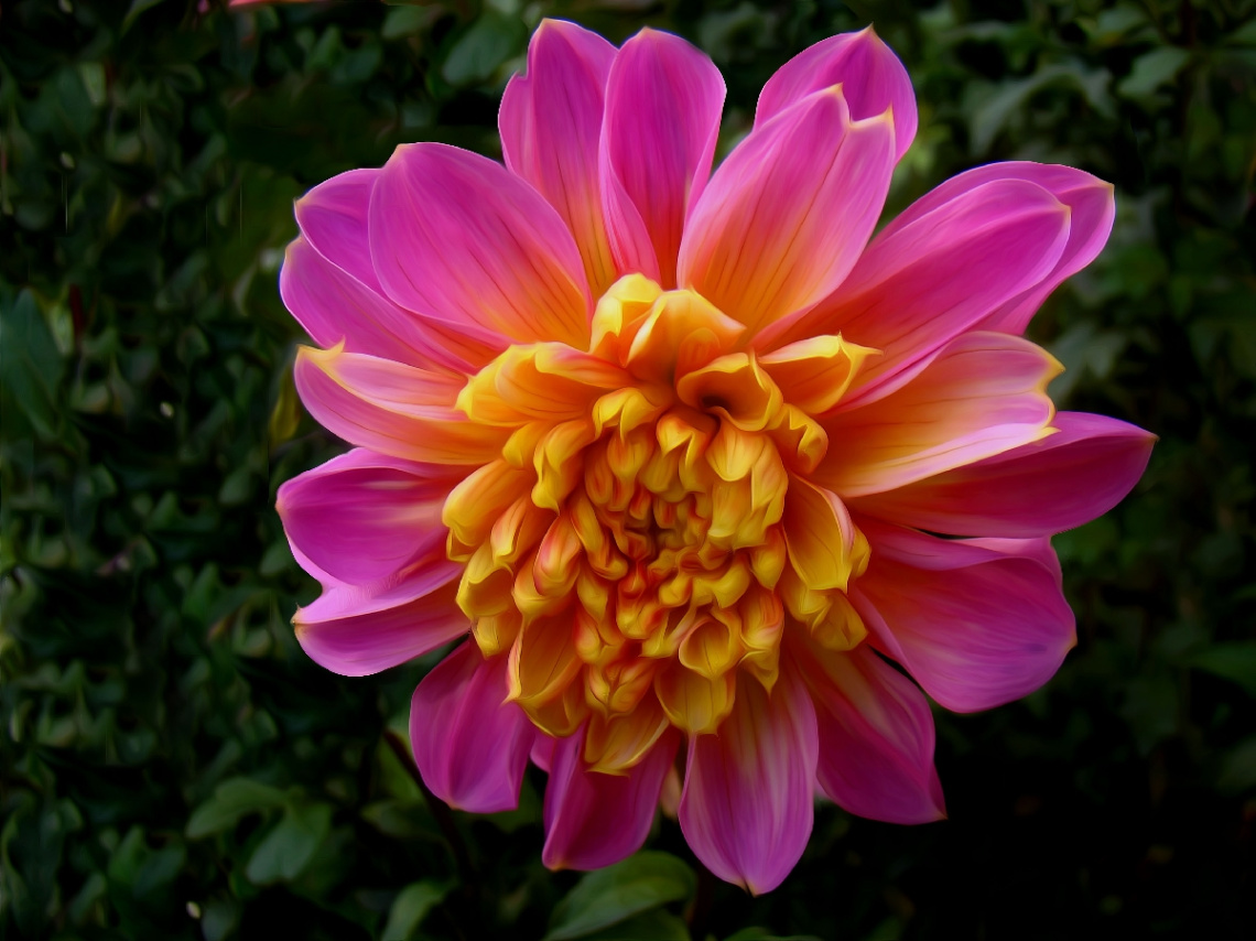 BLÜTE