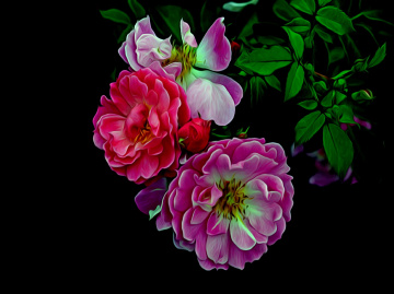 BLÜTEN
