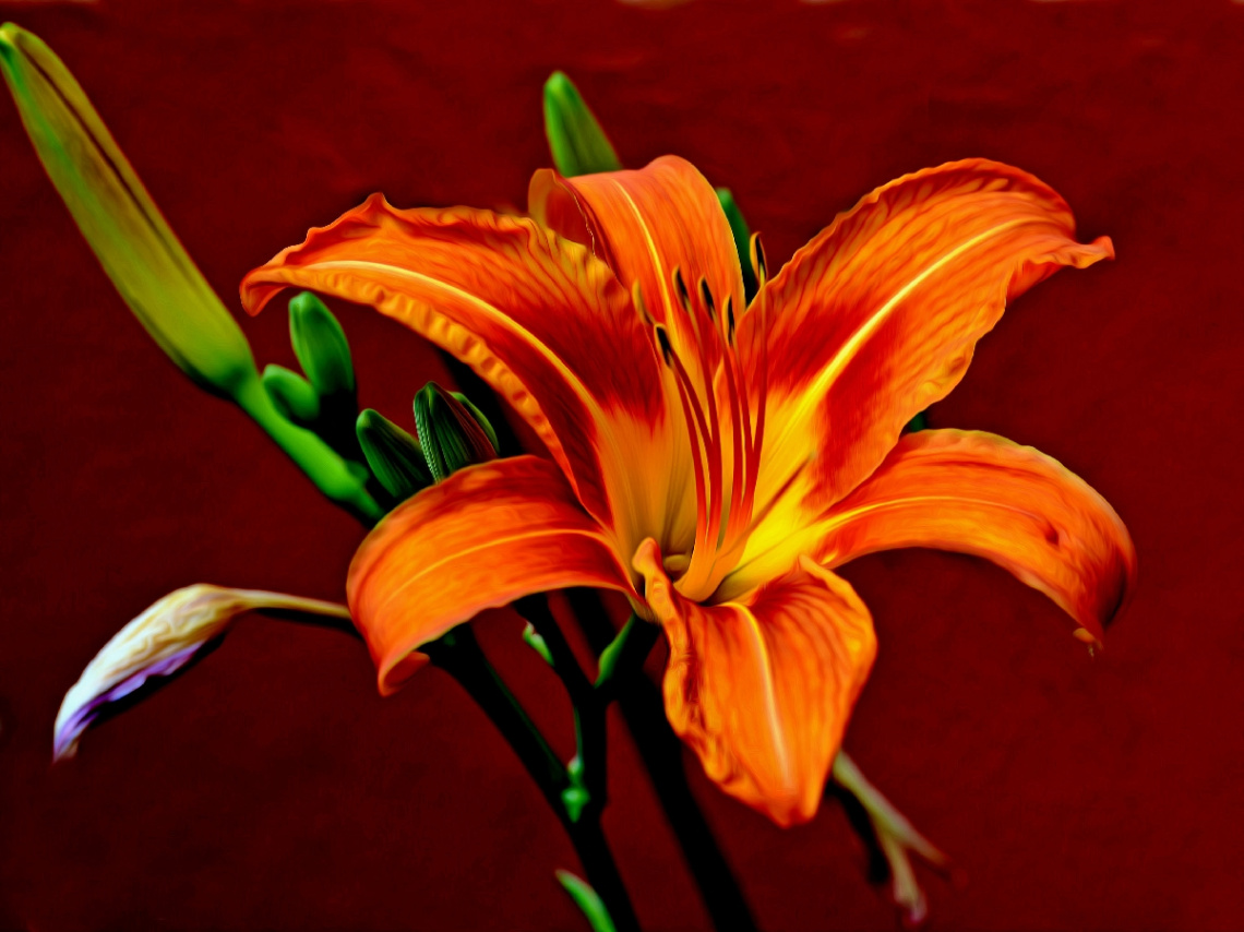 BLÜTE