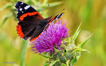 Önümüzdeki Güzel Günler İçin..