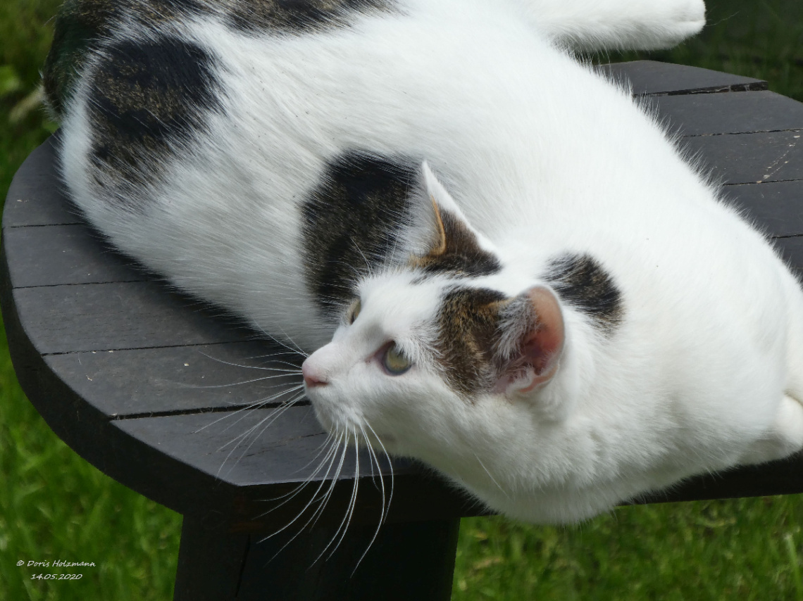 Bird watching ;-)