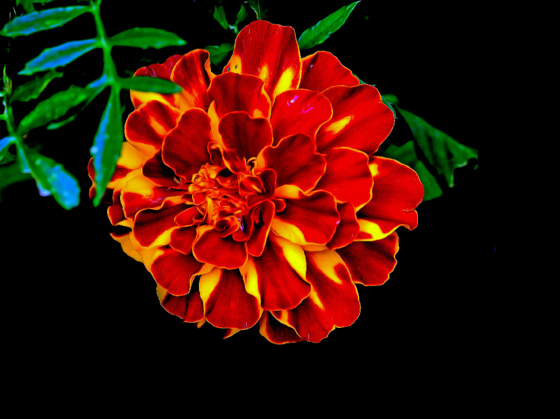 BLÜTE