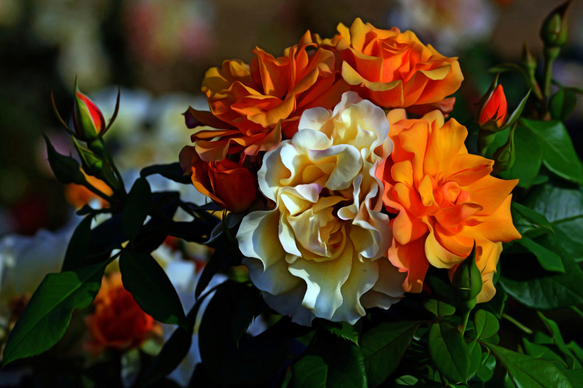 BLÜTEN