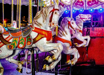 Giddyup!