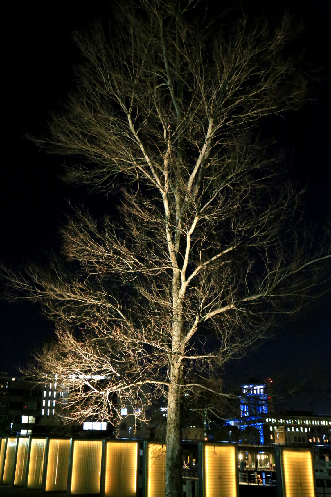 Night tree