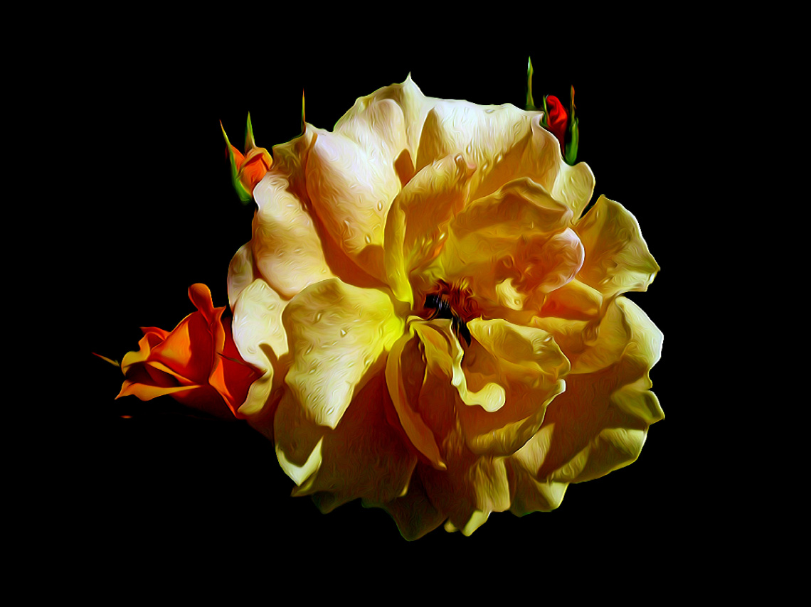 BLÜTE
