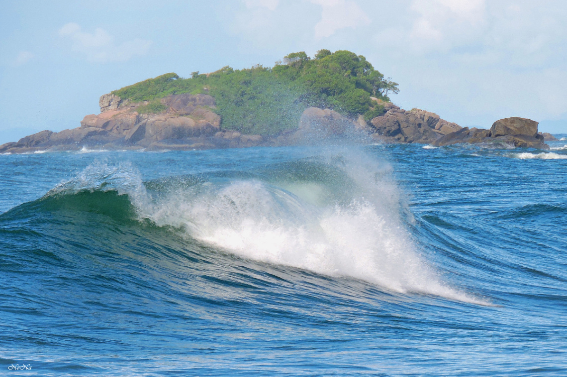 Waves