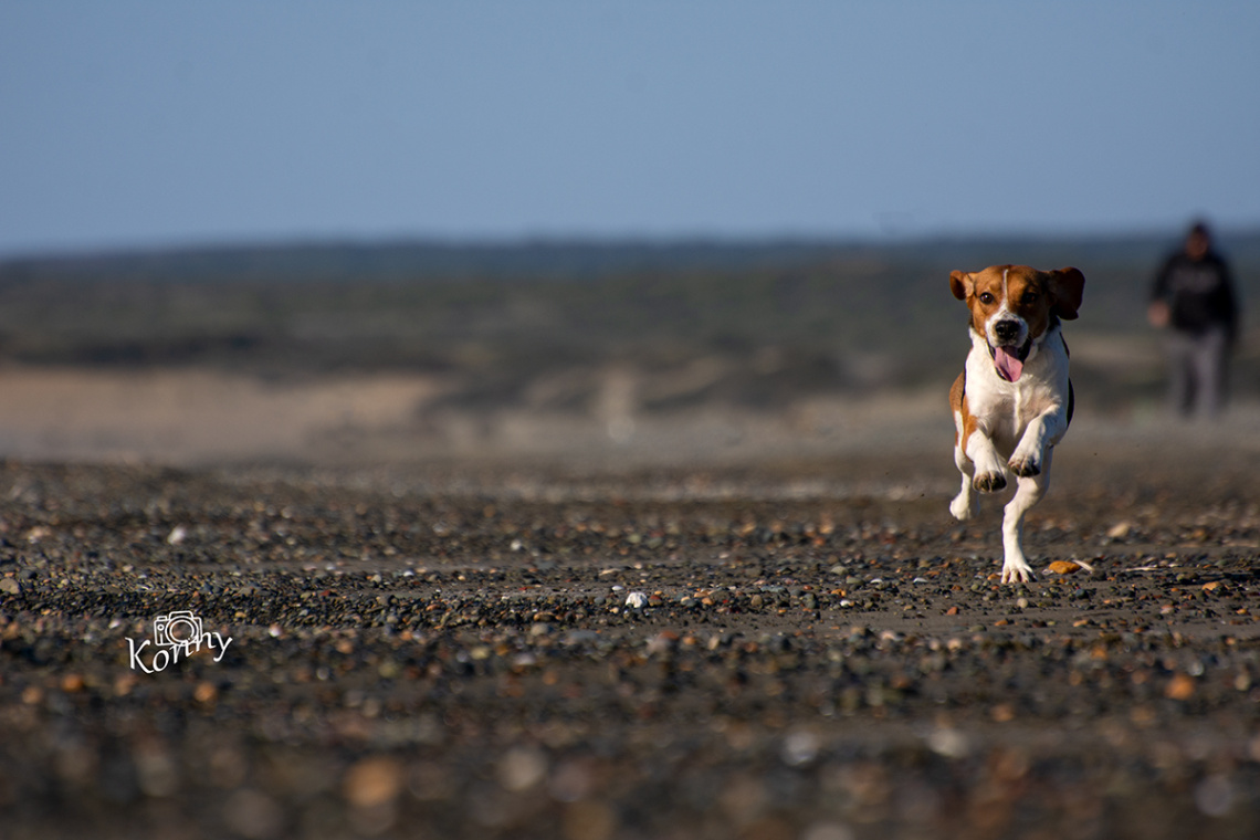Walking at the beach 