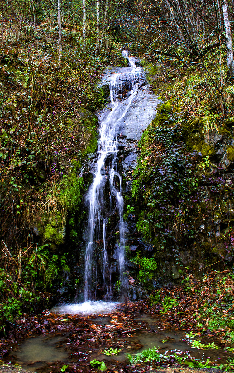 Bahara doğru