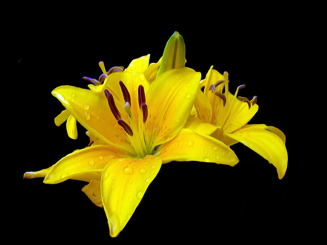 BLÜTE