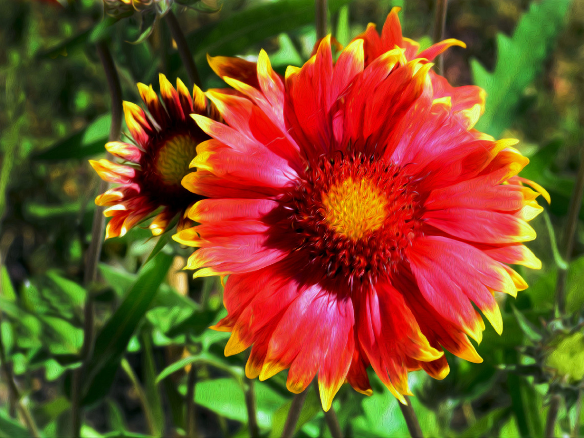 BLÜTE