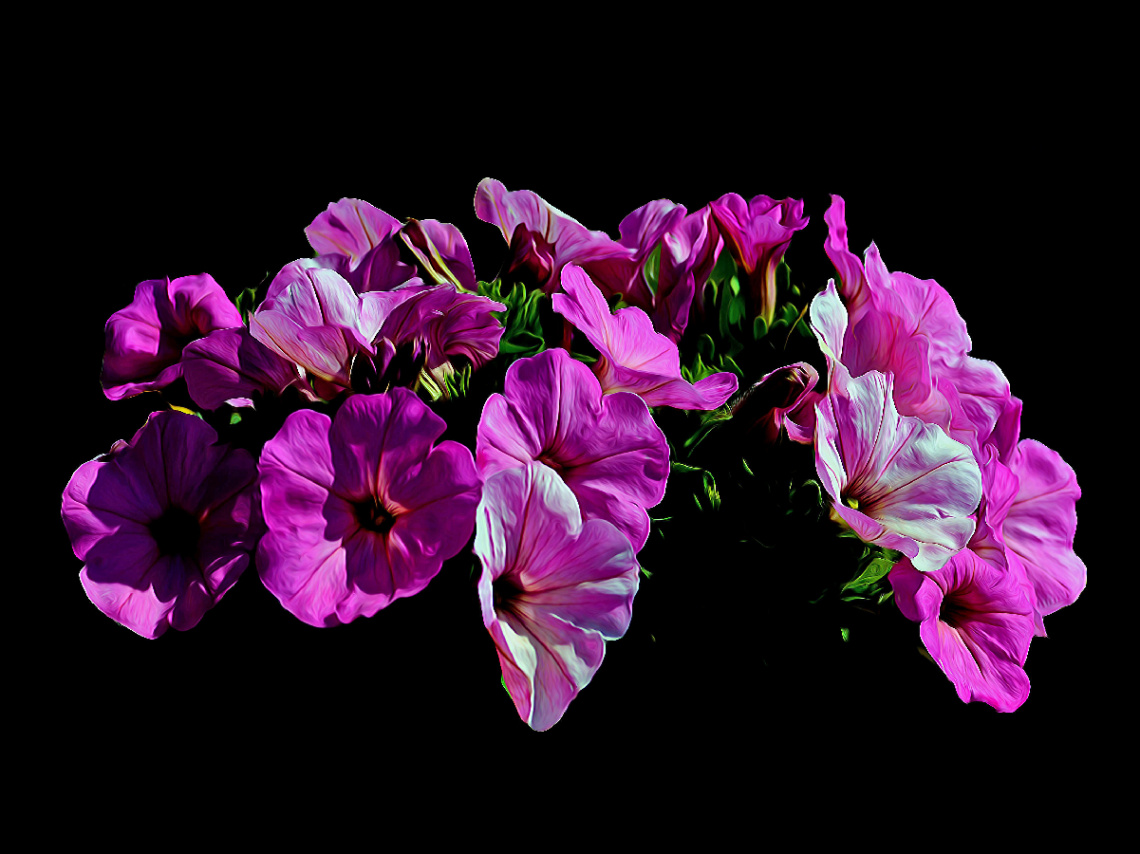 BLÜTEN
