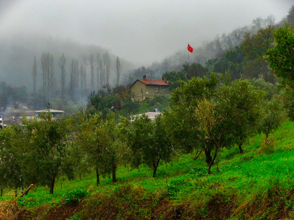 Akçapınar Köyü - MKPaşa