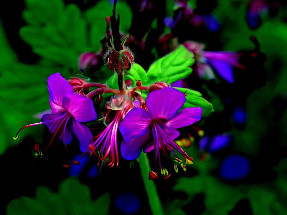BLÜTEN