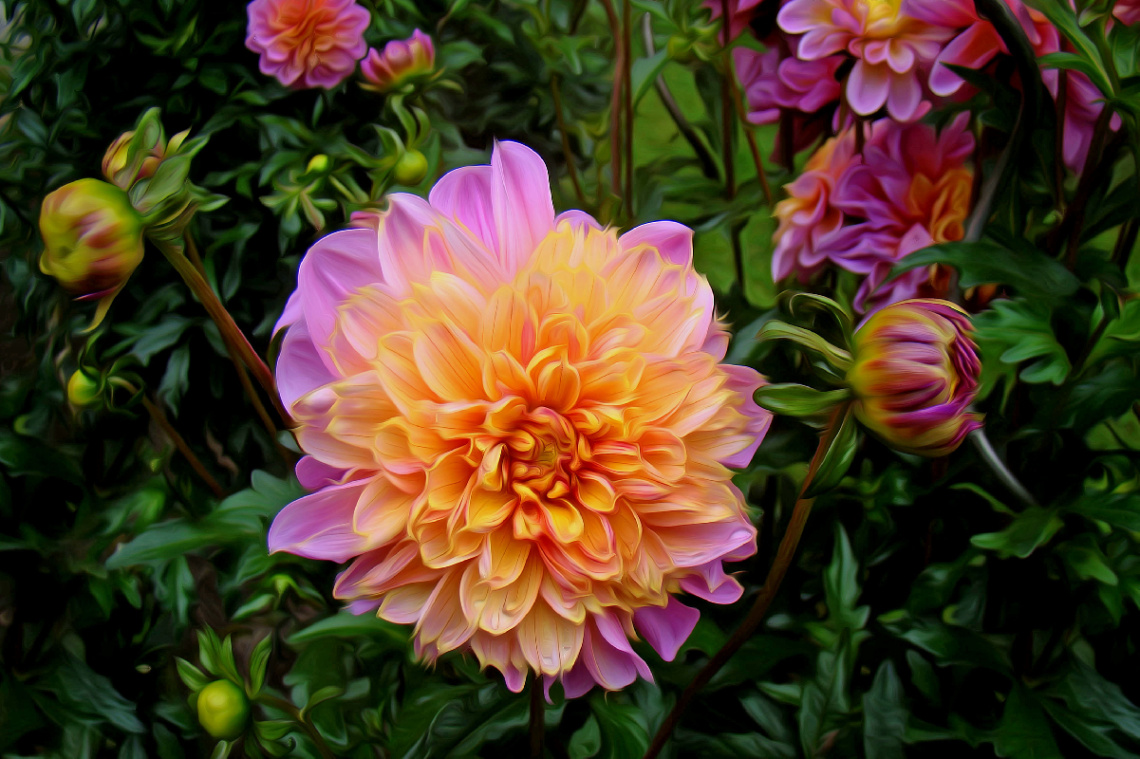 BLÜTEN