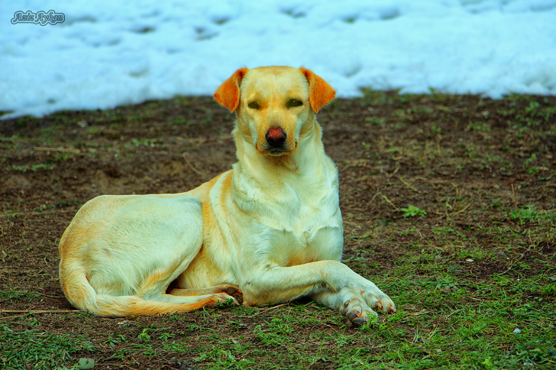Bu Nasıl Bir Poz :))