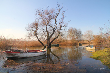 Uluabat