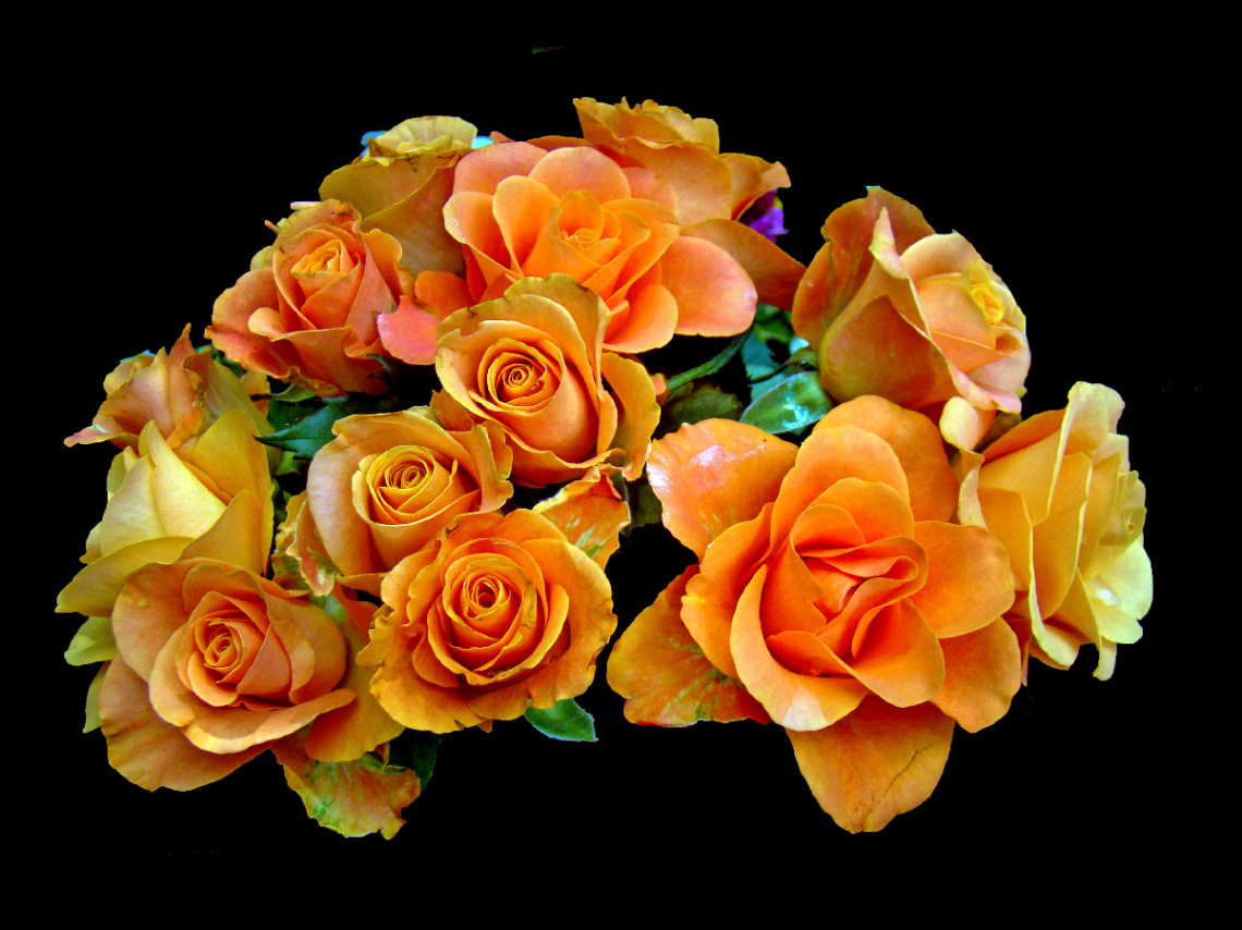 BLÜTEN