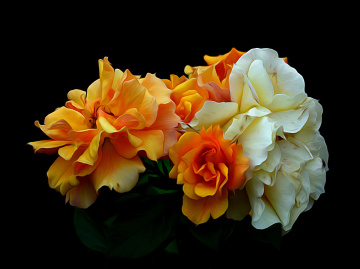 BLÜTEN