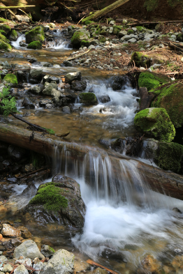 Water falls