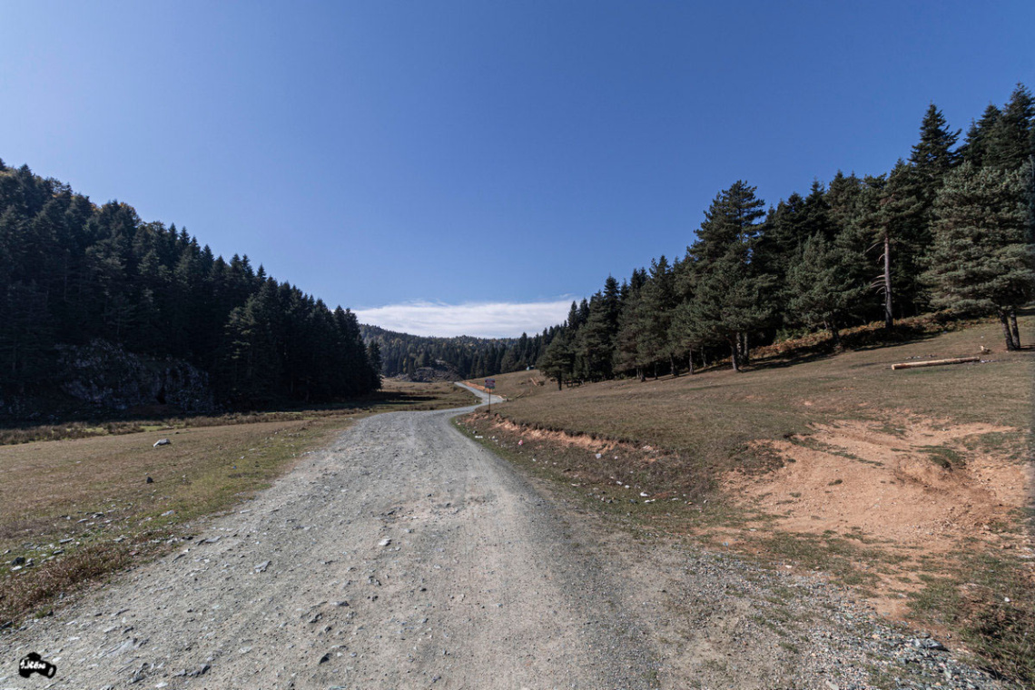 Yayla Yolları