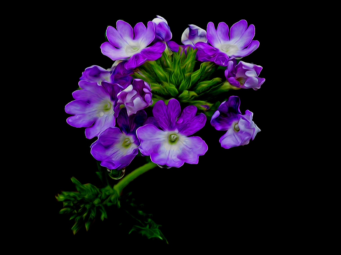 BLÜTEN