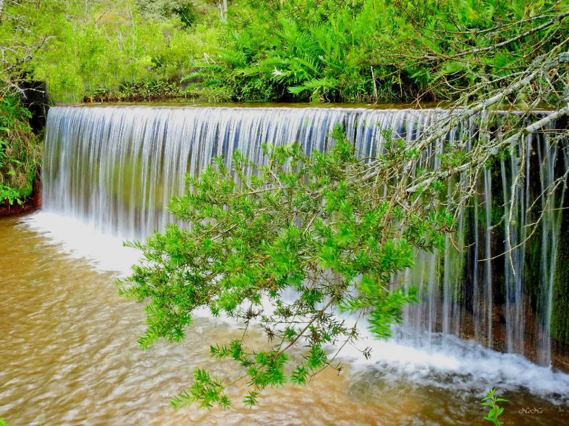 Cachoeira